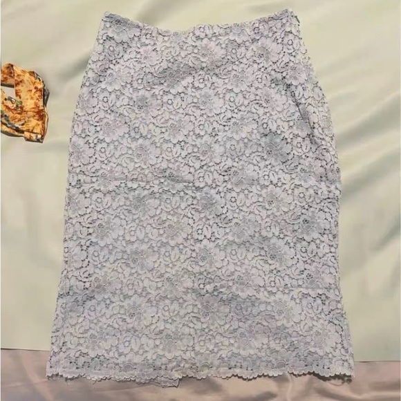 Zara Lace Pencil Skirt - Light Gray - Picture 1 of 3